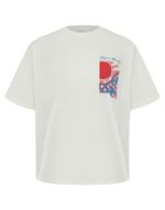 BL010113_0042_4-T-SHIRT-HINODE